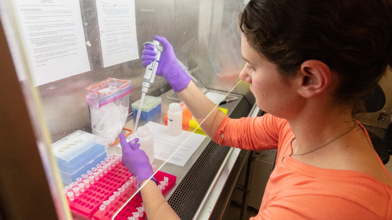 Image Credit: Yellowstone National Park - Public domain/Wiki Commons