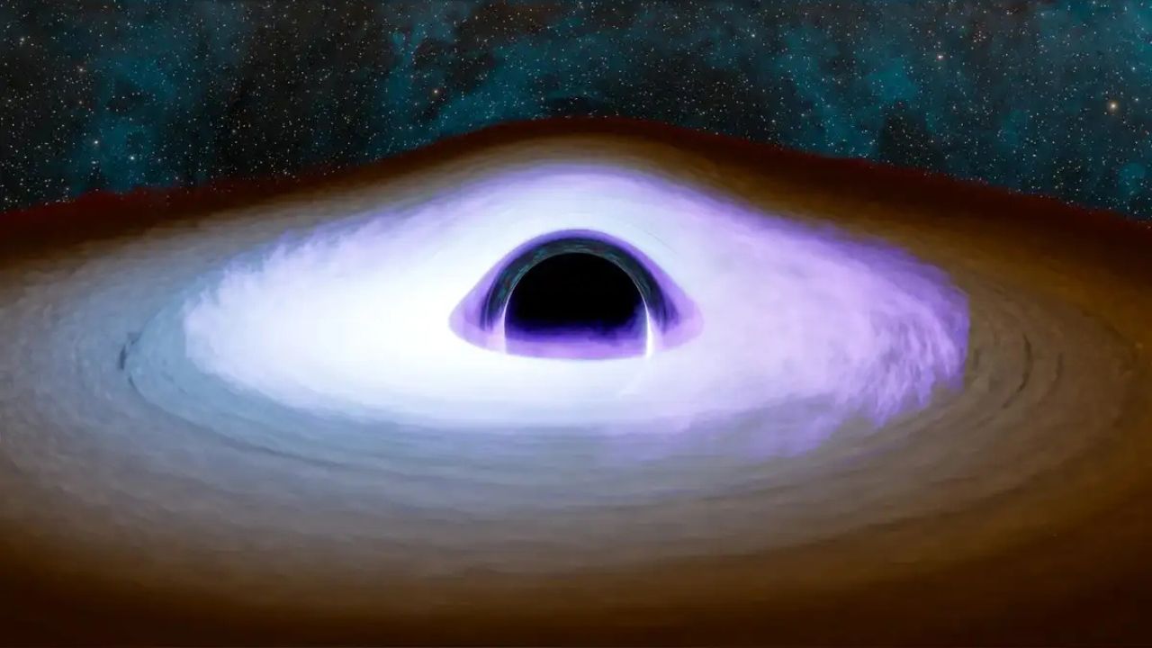 Black Hole Heartbeat Signals