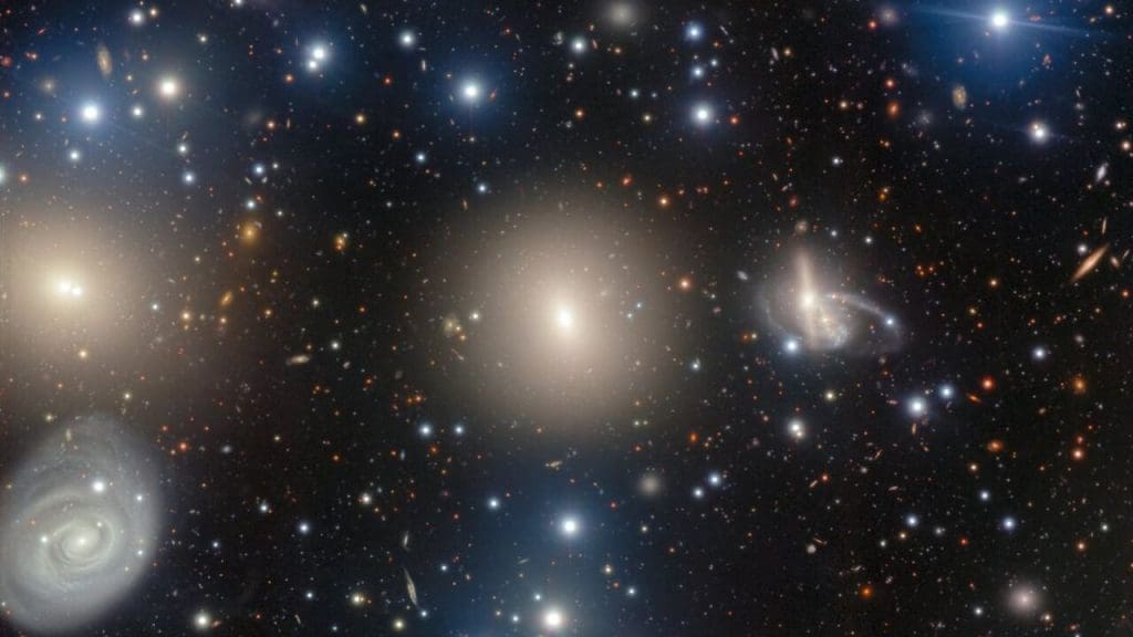 The Perseus Galaxy Cluster and Its Black Hole