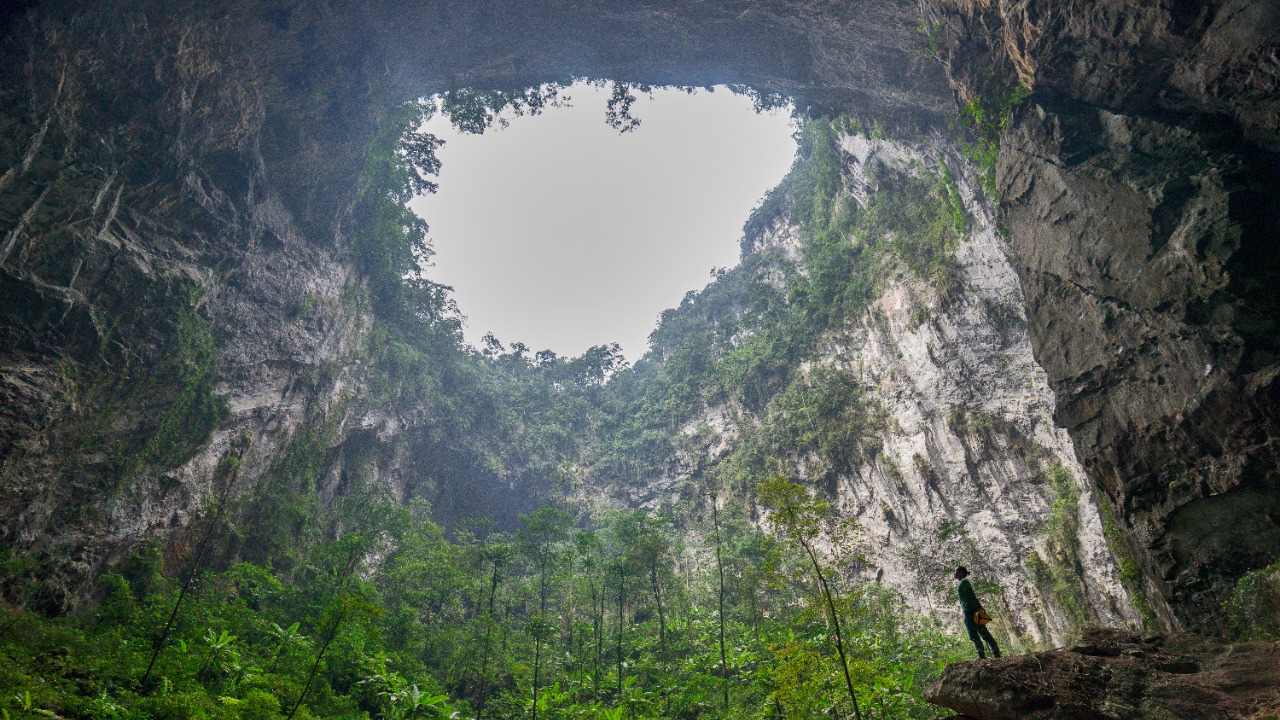 Image Credit: Dave Bunnell - CC BY-SA 4.0/Wiki Commons