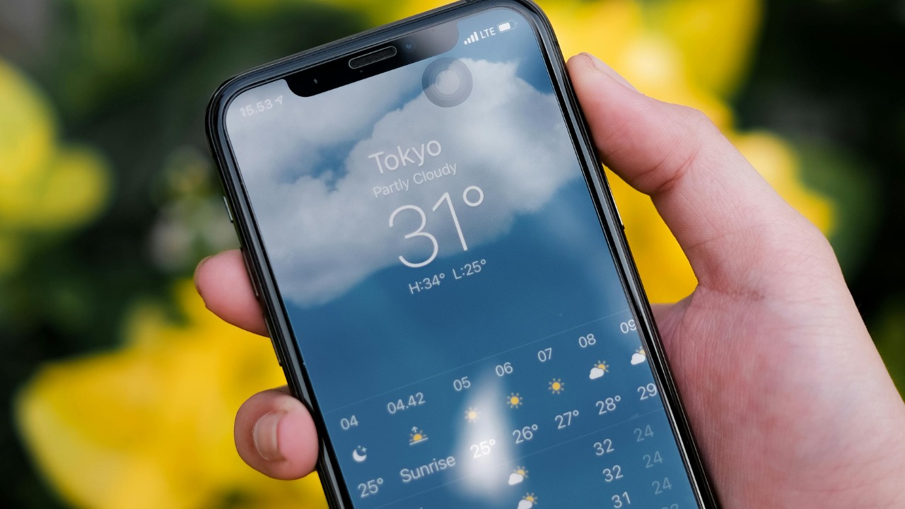 Mochammad Algi/Pexels