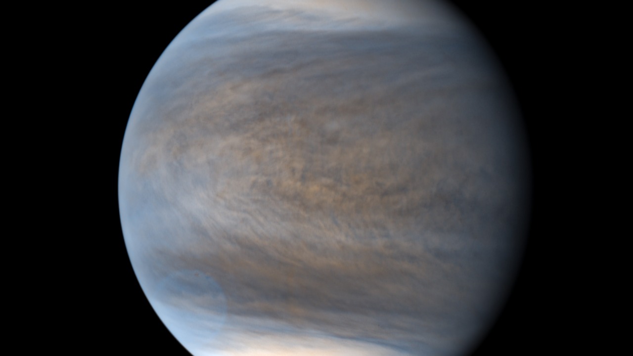 Image Credit: Kevin Gill from Los Angeles, CA, United States - CC BY 2.0/Wiki Commons