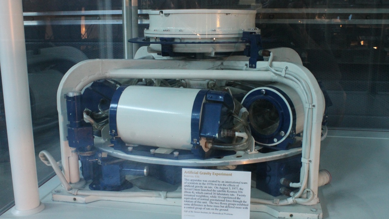 Image Credit: Craigboy - CC BY-SA 3.0/Wiki Commons