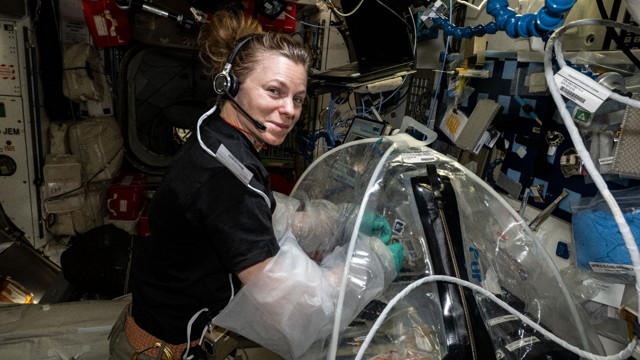 Image Credit: NASA Johnson Space Center - Public domain/Wiki Commons