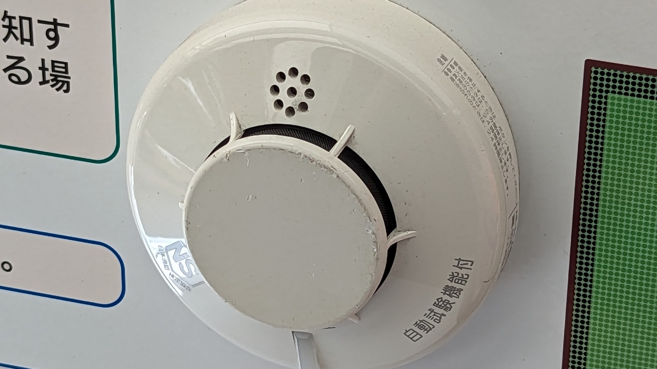 Image Credit: Syced - CC0/Wiki Commons