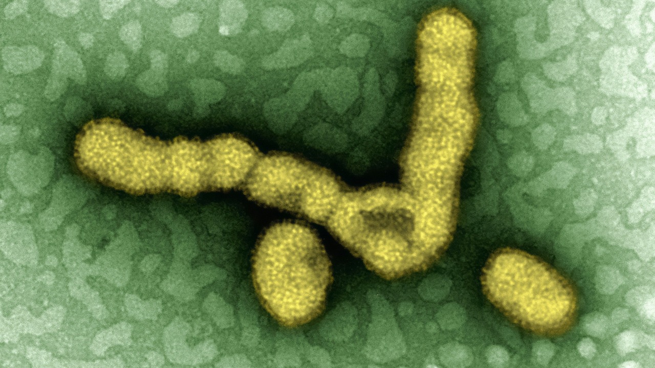 Russian scientists revived 24,000-year-old “zombie worms”