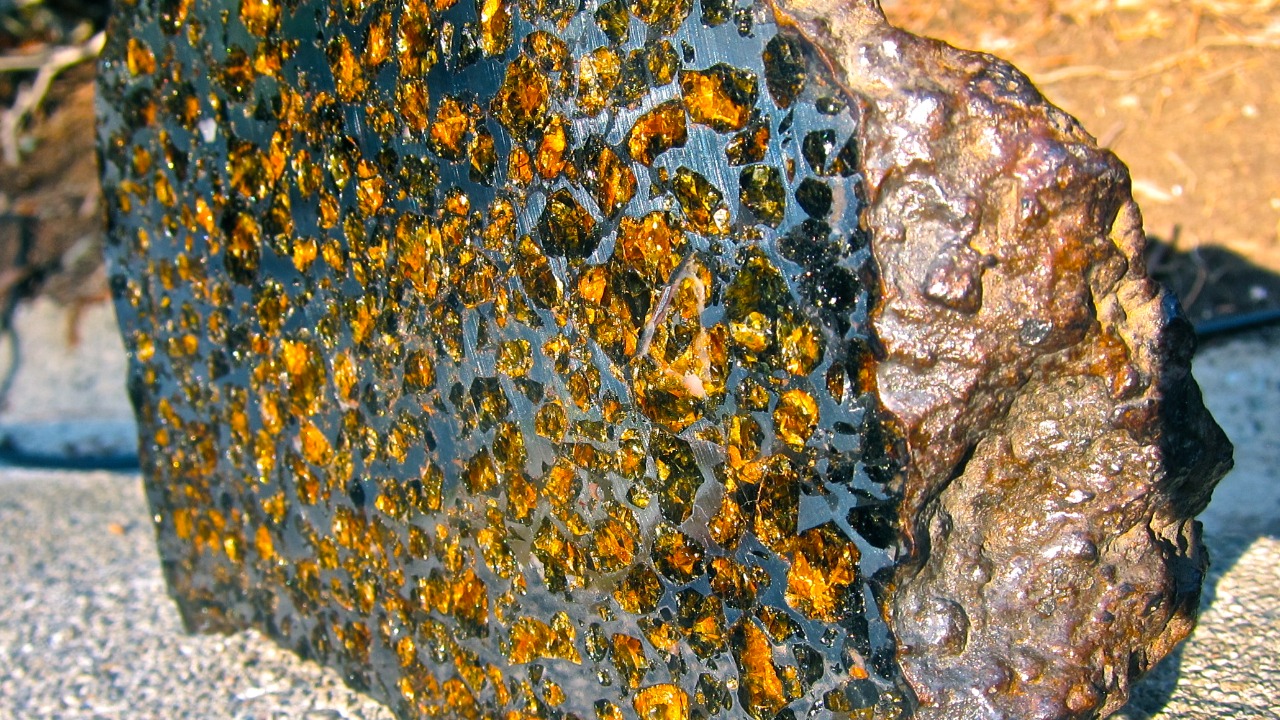 Image Credit: Steve Jurvetson - CC BY 2.0/Wiki Commons