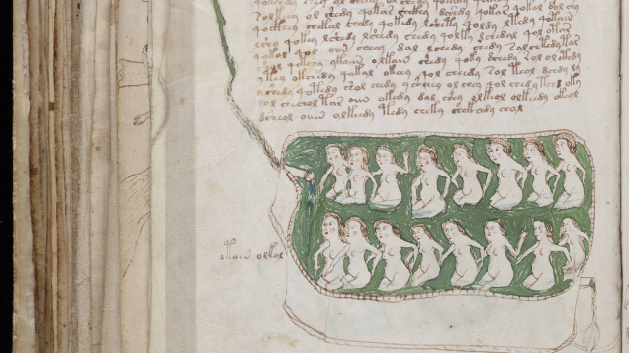 Image Credit: Unknown authorUnknown author - Public domain/Wiki Commons