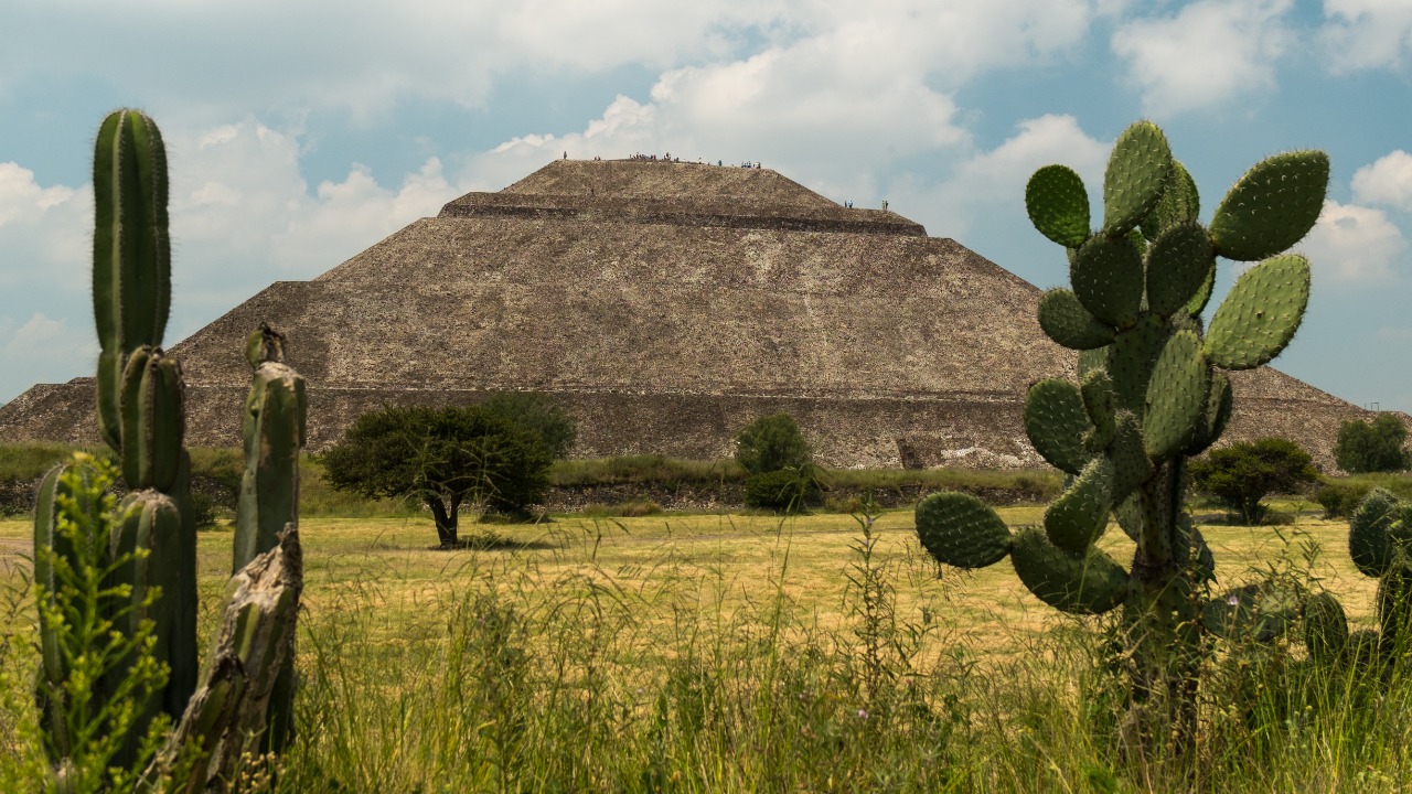 Image Credit: Ralf Roletschek - GFDL 1.2/Wiki Commons