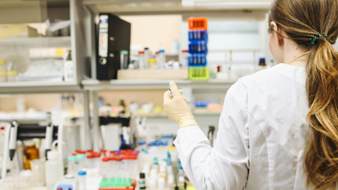 Polina Tankilevitch/Pexels