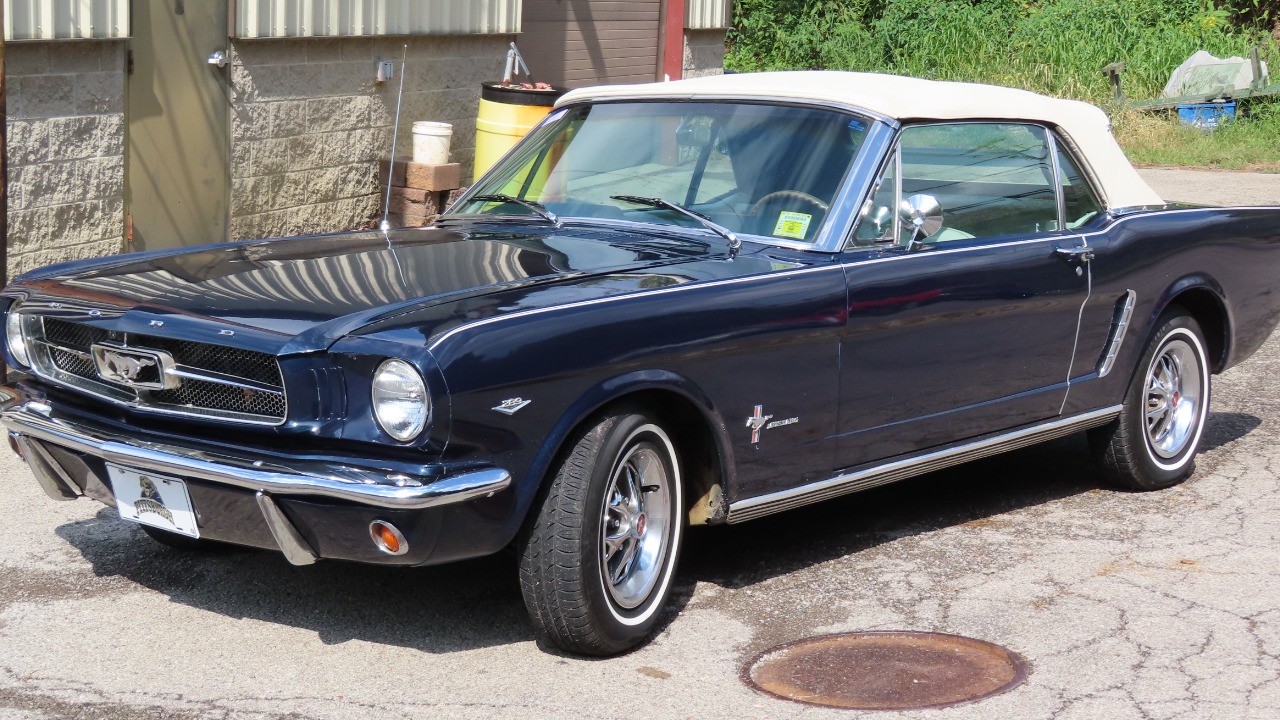 Image Credit: MercurySable99 - CC BY-SA 4.0/Wiki Commons