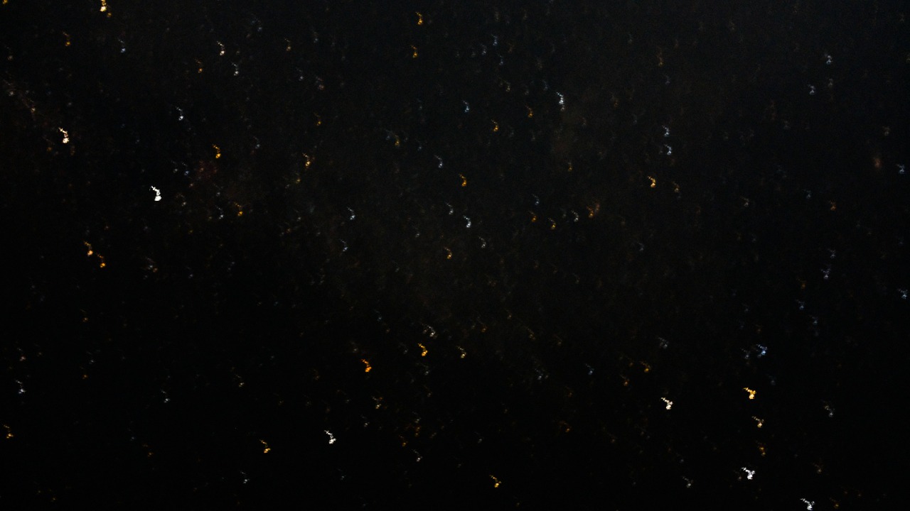 adrienolichon/Unsplash