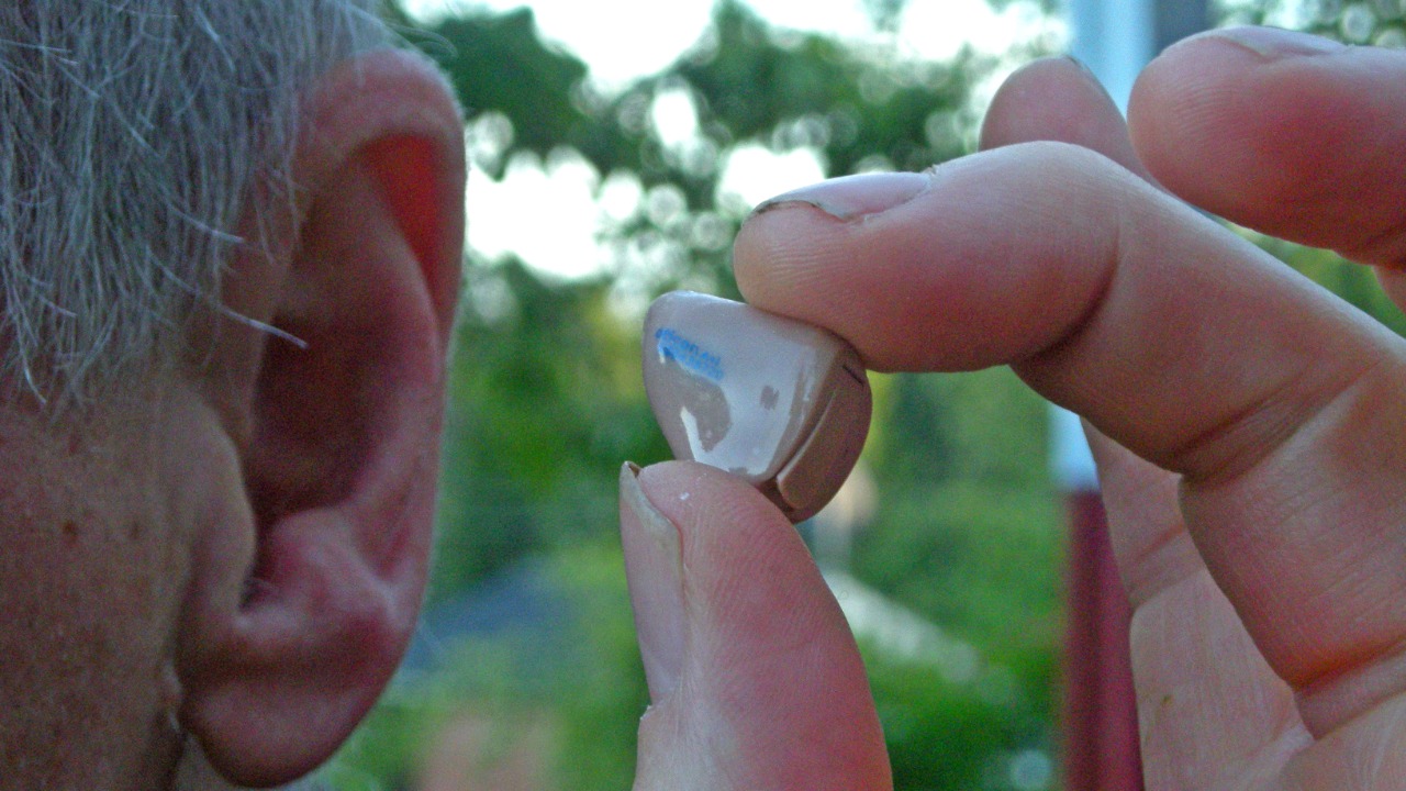 Image Credit: Jonas Bergsten - Public domain/Wiki Commons