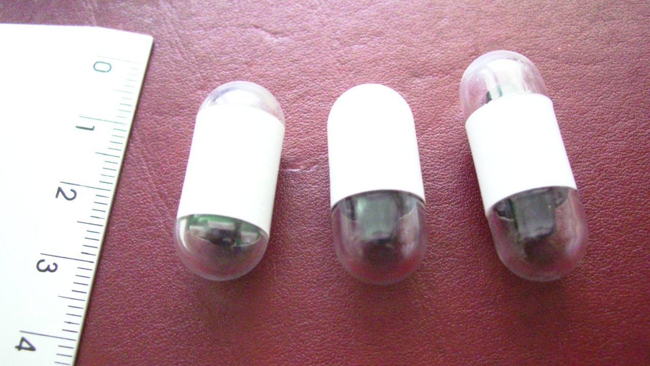 Image Credit: Dr.HH.Krause - CC BY-SA 3.0/Wiki Commons