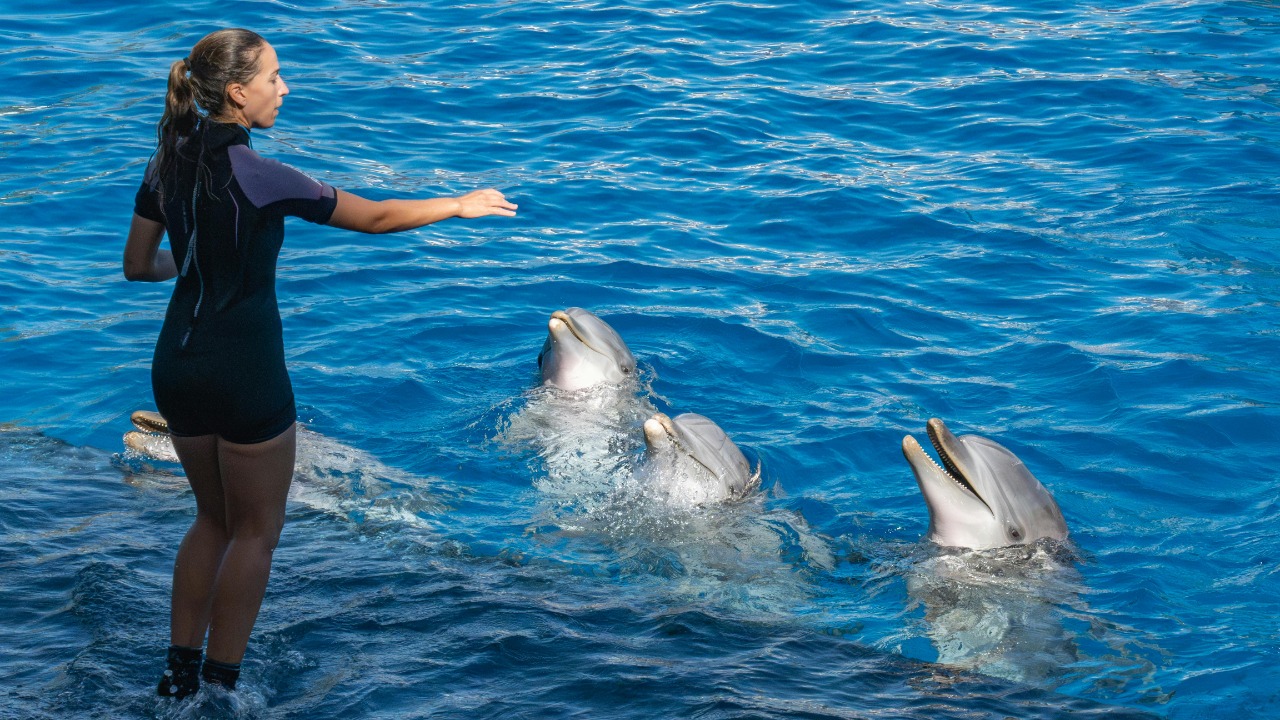 Emilio Sánchez Hernández/Pexels