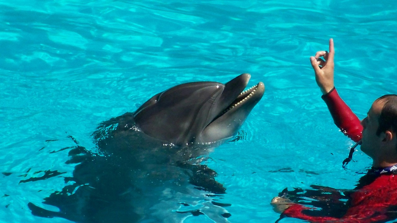 Guillaume Soucy/Pexels