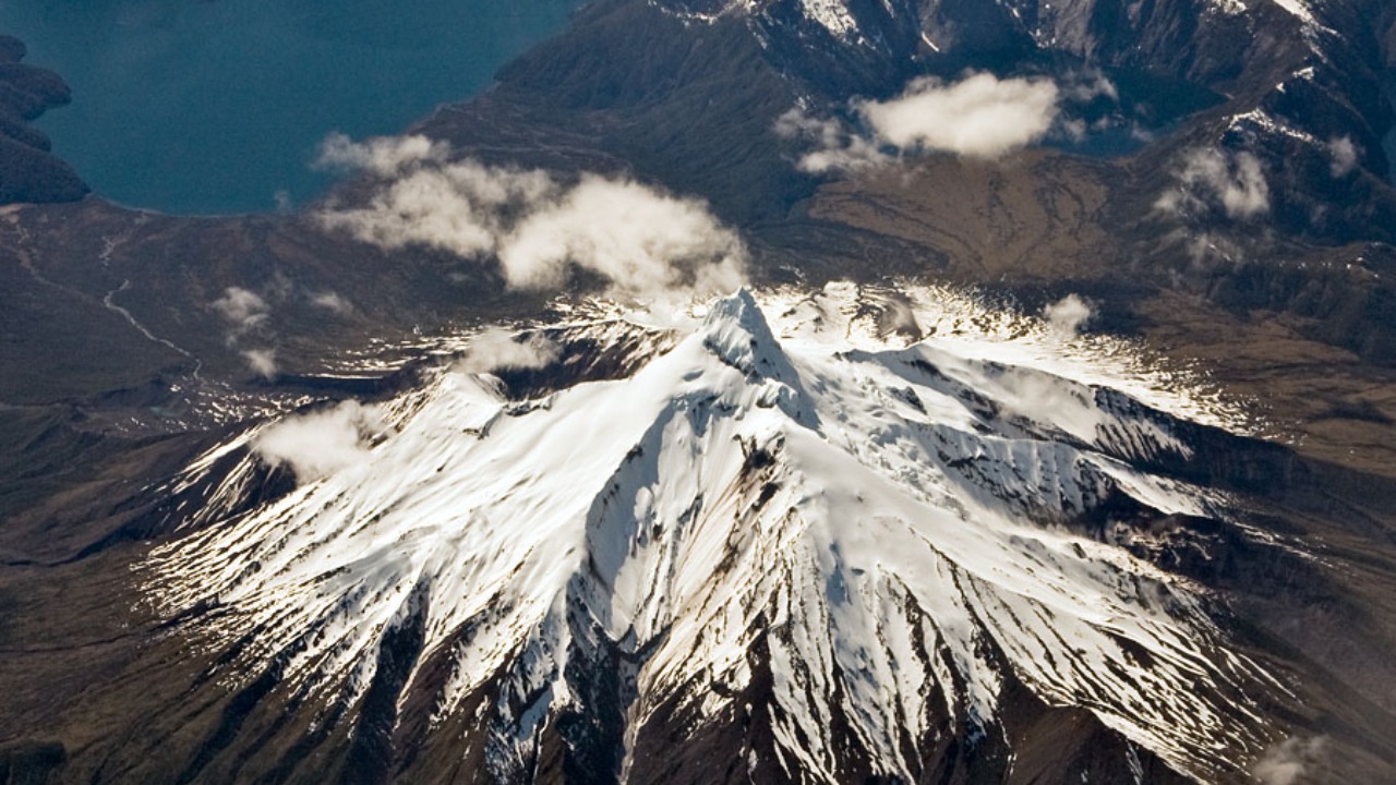 Image Credit: Gerard Prins - CC BY-SA 3.0/Wiki Commons