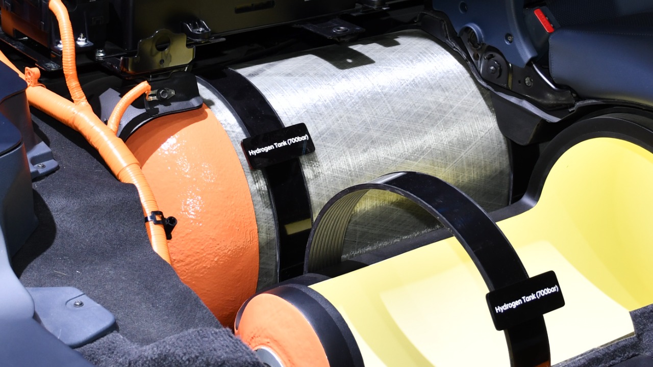 Image Credit: Dr. Artur Braun (Arturbraun) - CC BY-SA 4.0/Wiki Commons