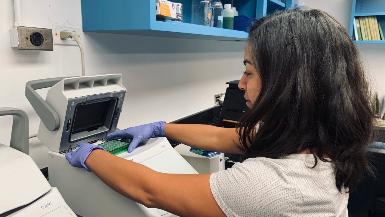 Image Credit: NOAA AOML - Public domain/Wiki Commons