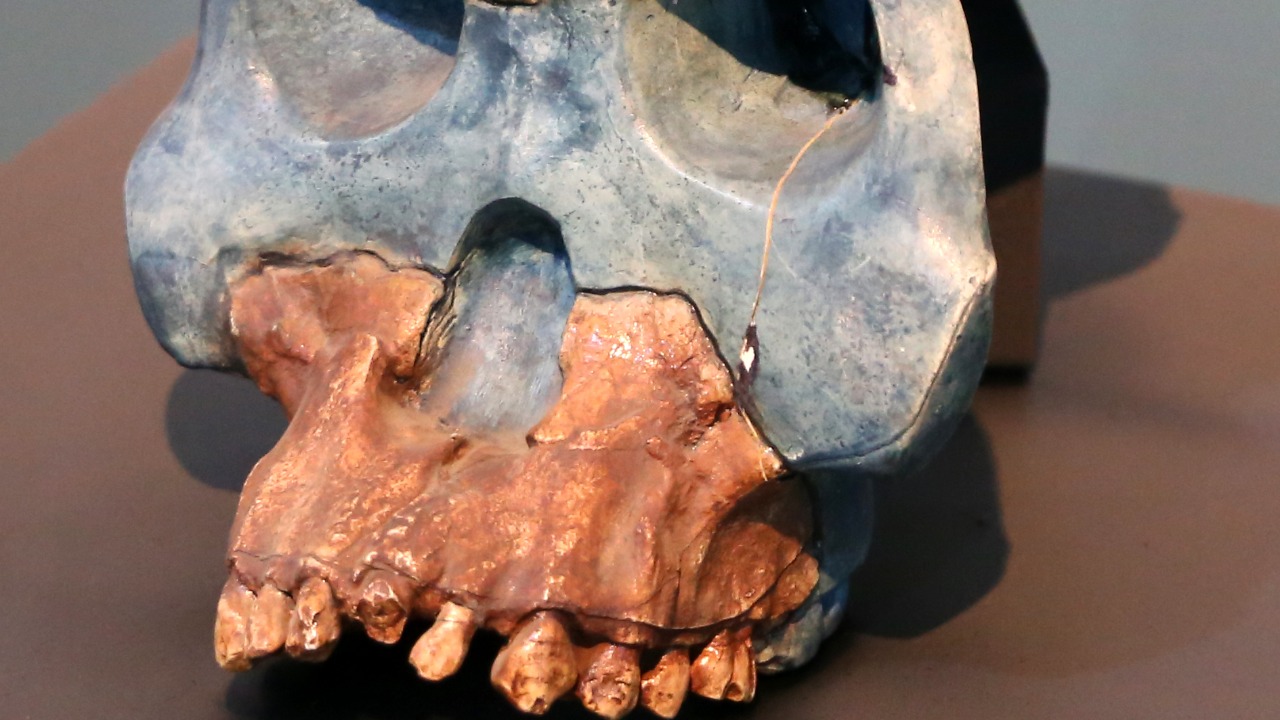 Image Credit: Sailko - CC BY 3.0/Wiki Commons