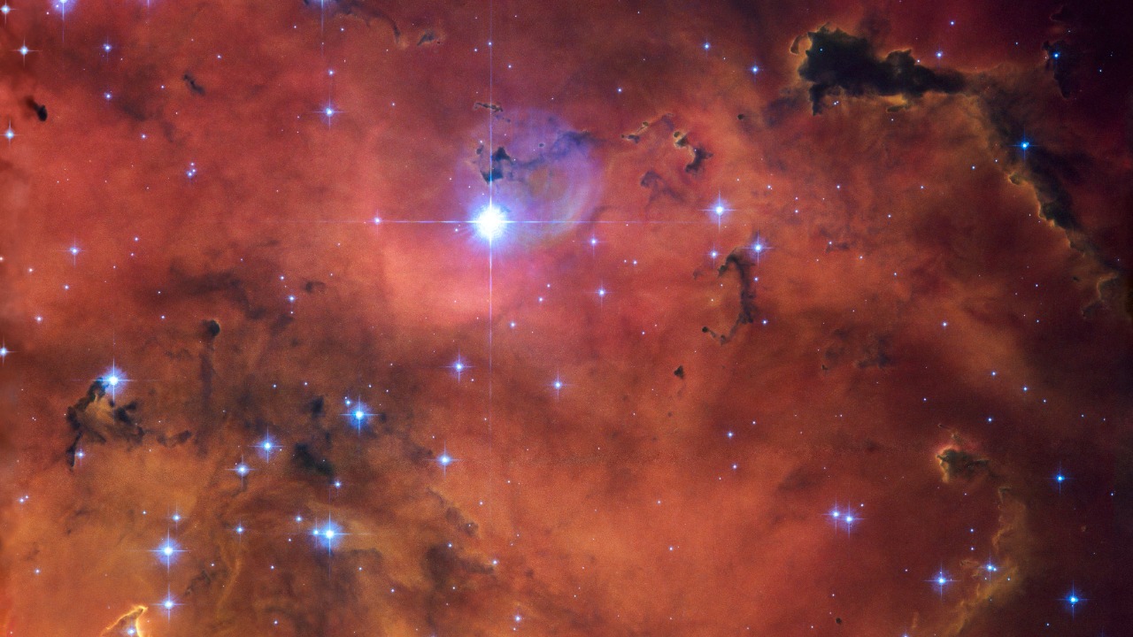 Image Credit: NASA Goddard Space Flight Center from Greenbelt, MD, USA - CC BY 2.0/Wiki Commons