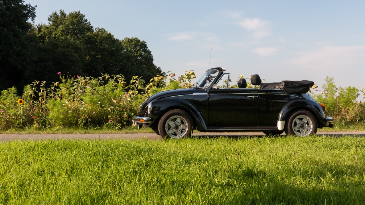 Image Credit: Dietmar Rabich - CC BY-SA 4.0/Wiki Commons