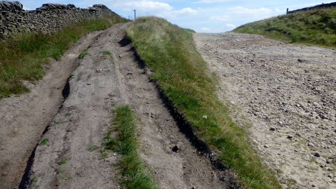 Image Credit: Rude Health - CC BY-SA 2.0/Wiki Commons