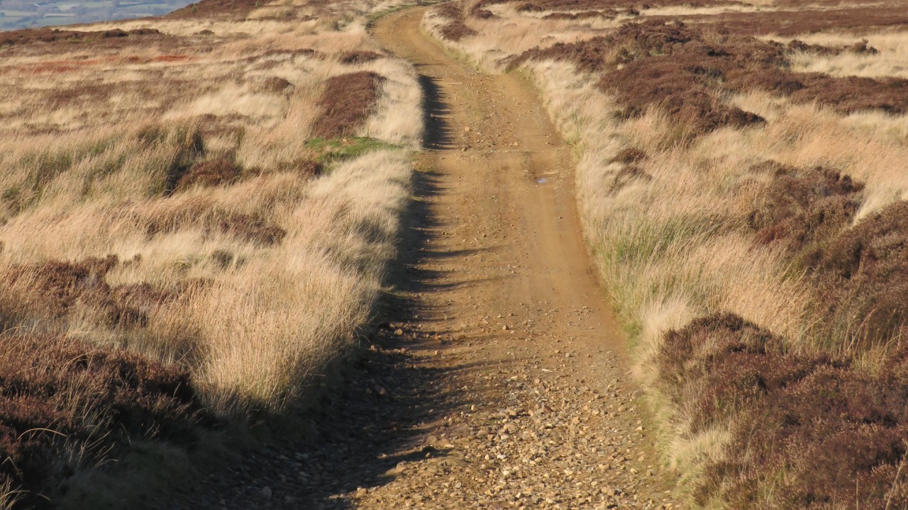 Image Credit: Gordon Hatton - CC BY-SA 2.0/Wiki Commons