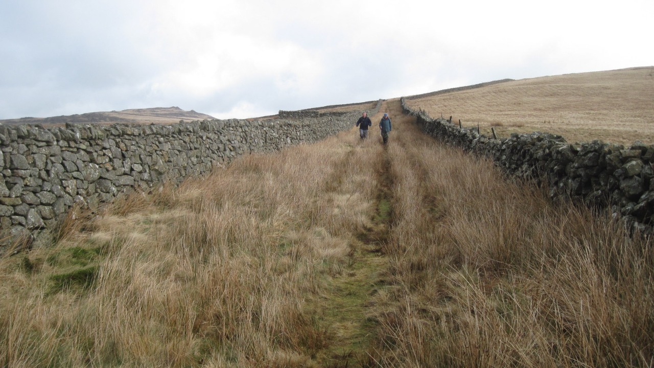 Image Credit: David Medcalf - CC BY-SA 2.0/Wiki Commons