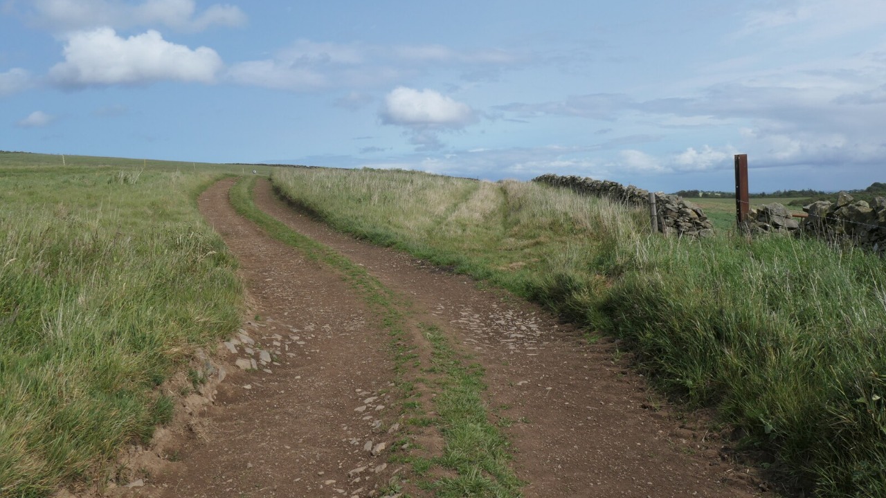 Image Credit: Richard West - CC BY-SA 2.0/Wiki Commons