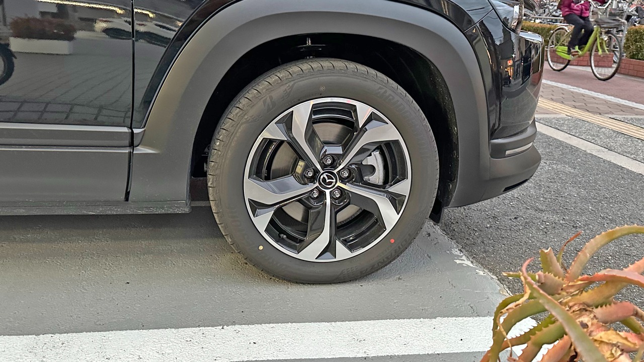 Image Credit: Tokumeigakarinoaoshima - CC BY-SA 4.0/Wiki Commons