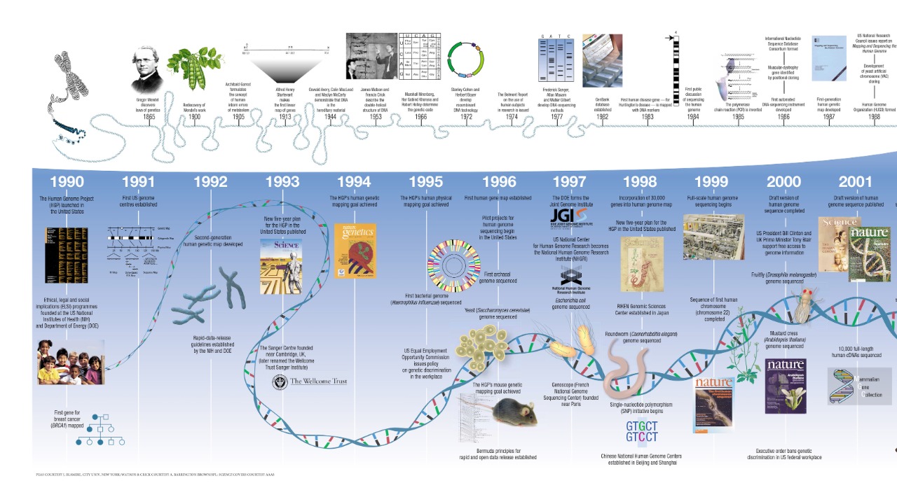 Image Credit: unknown - Public domain/Wiki Commons