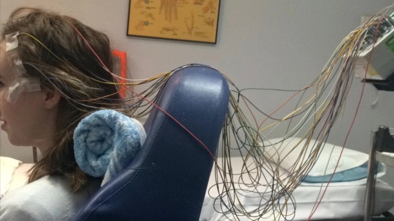 Image Credit: HannahDoverty - CC BY-SA 4.0/Wiki Commons