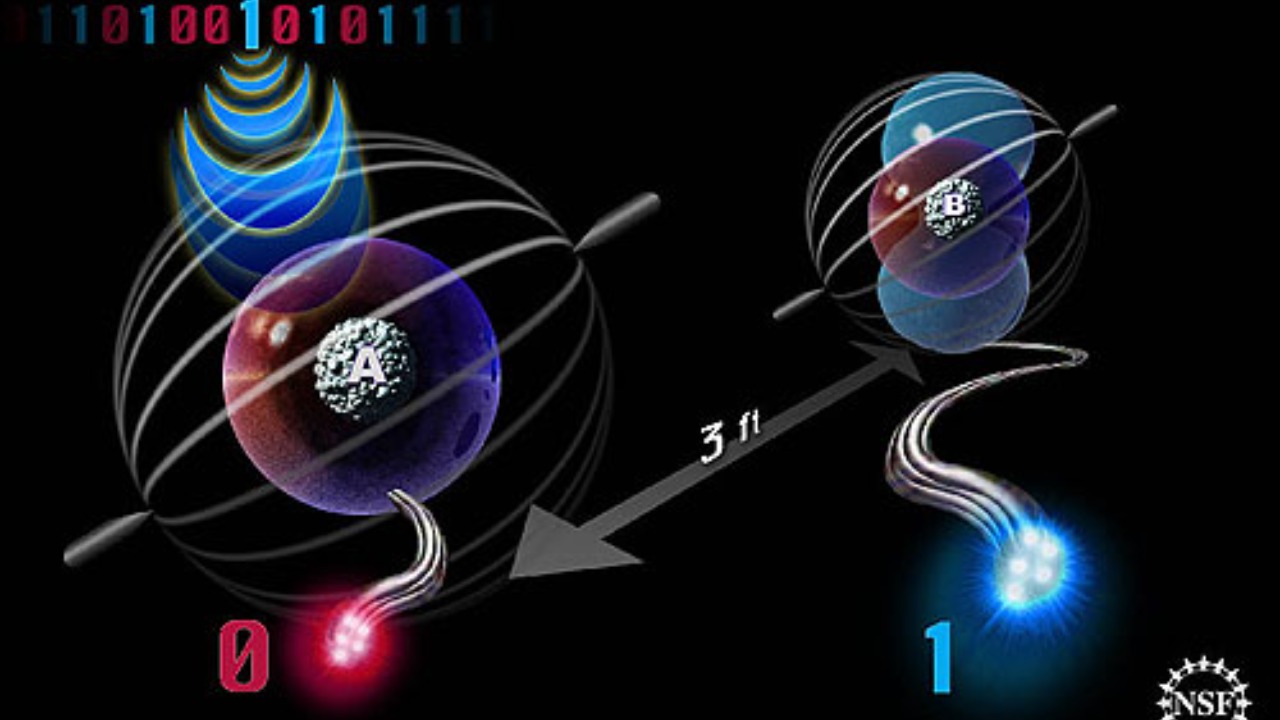 Image Credit: National Science Foundation - Public domain/Wiki Commons