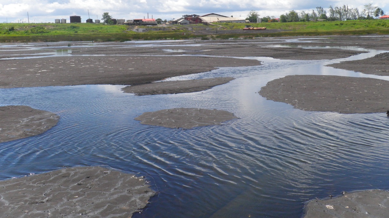 Image Credit: Martina Jackson - CC BY-SA 3.0/Wiki Commons