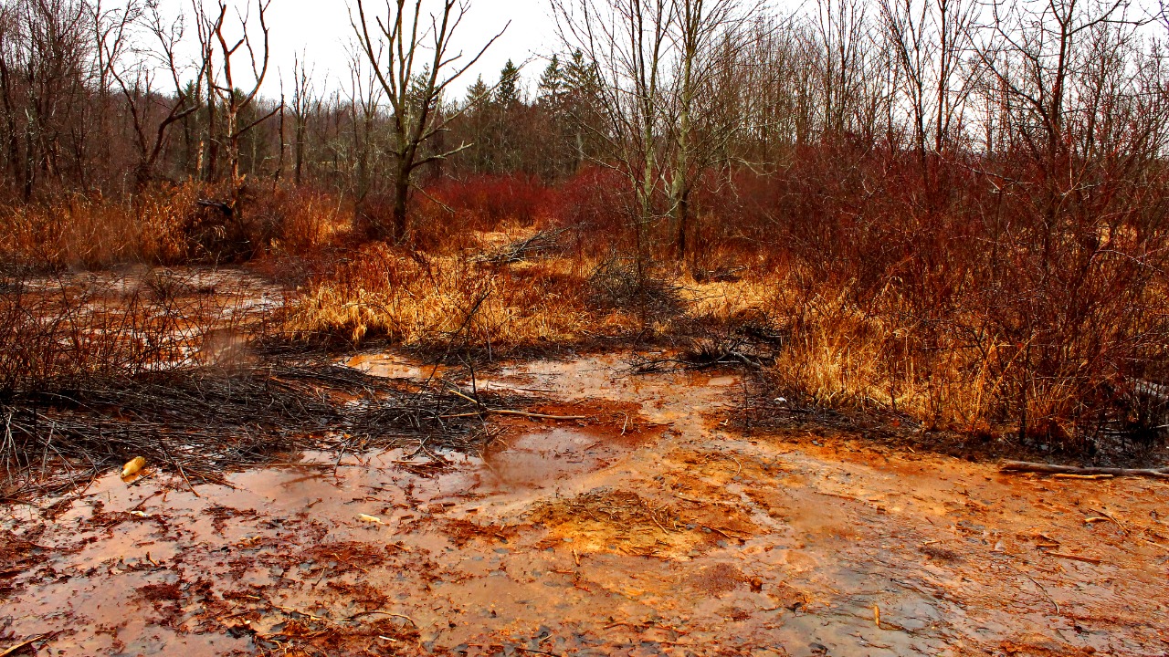 Image Credit: Jack Pearce from Boardman, OH, USA - CC BY-SA 2.0/Wiki Commons