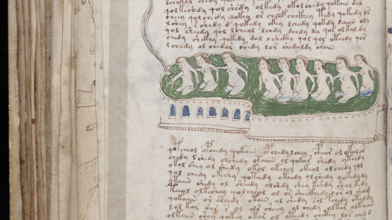 Image Credit: Unknown authorUnknown author - Public domain/Wiki Commons