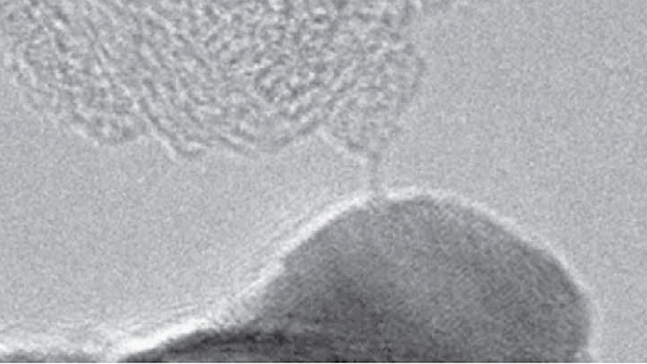 Image Credit: A. La Torre, A. Botello-Mendez, W. Baaziz, J. -C. Charlier & F. Banhart - CC BY 4.0/Wiki Commons