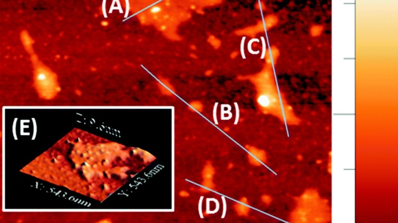 Image Credit: Jack R. Brent et al. - CC BY 3.0/Wiki Commons