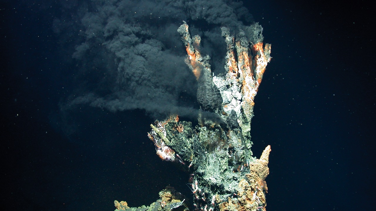 Image Credit: MARUM − Zentrum für Marine Umweltwissenschaften, Universität Bremen - CC BY 4.0/Wiki Commons