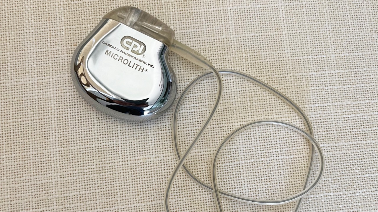 Image Credit: Brian Adducci - CC BY-SA 4.0/Wiki Commons