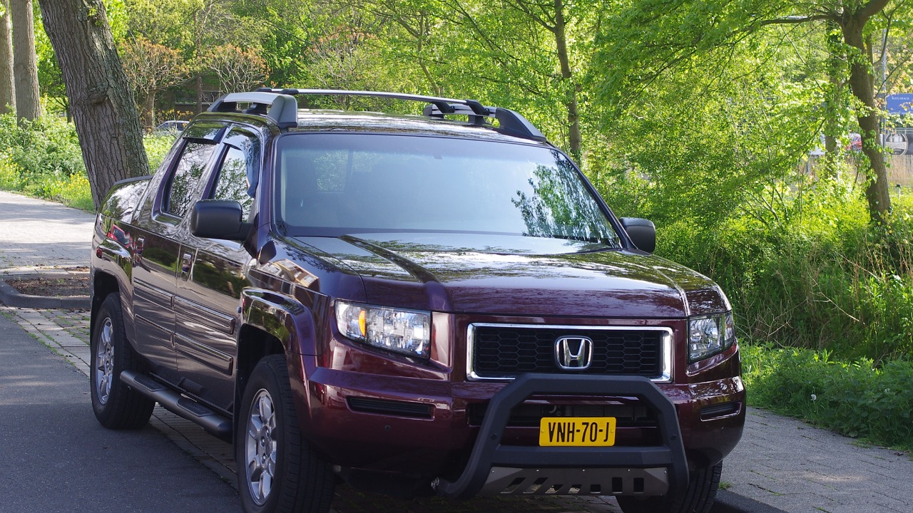 Image Credit: Rutger van der Maar - CC BY 2.0/Wiki Commons