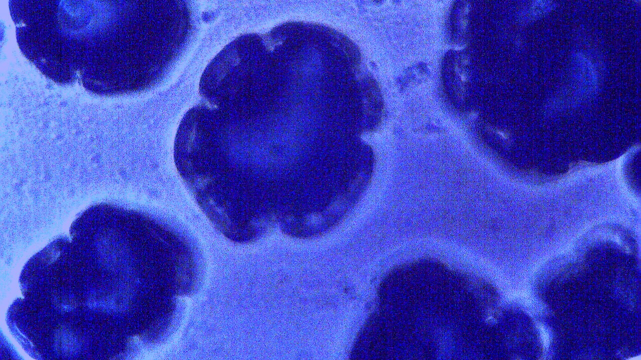 Image Credit: Ronit611 - CC BY-SA 3.0/Wiki Commons