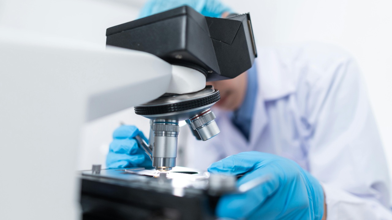 Chokniti Khongchum/Pexels