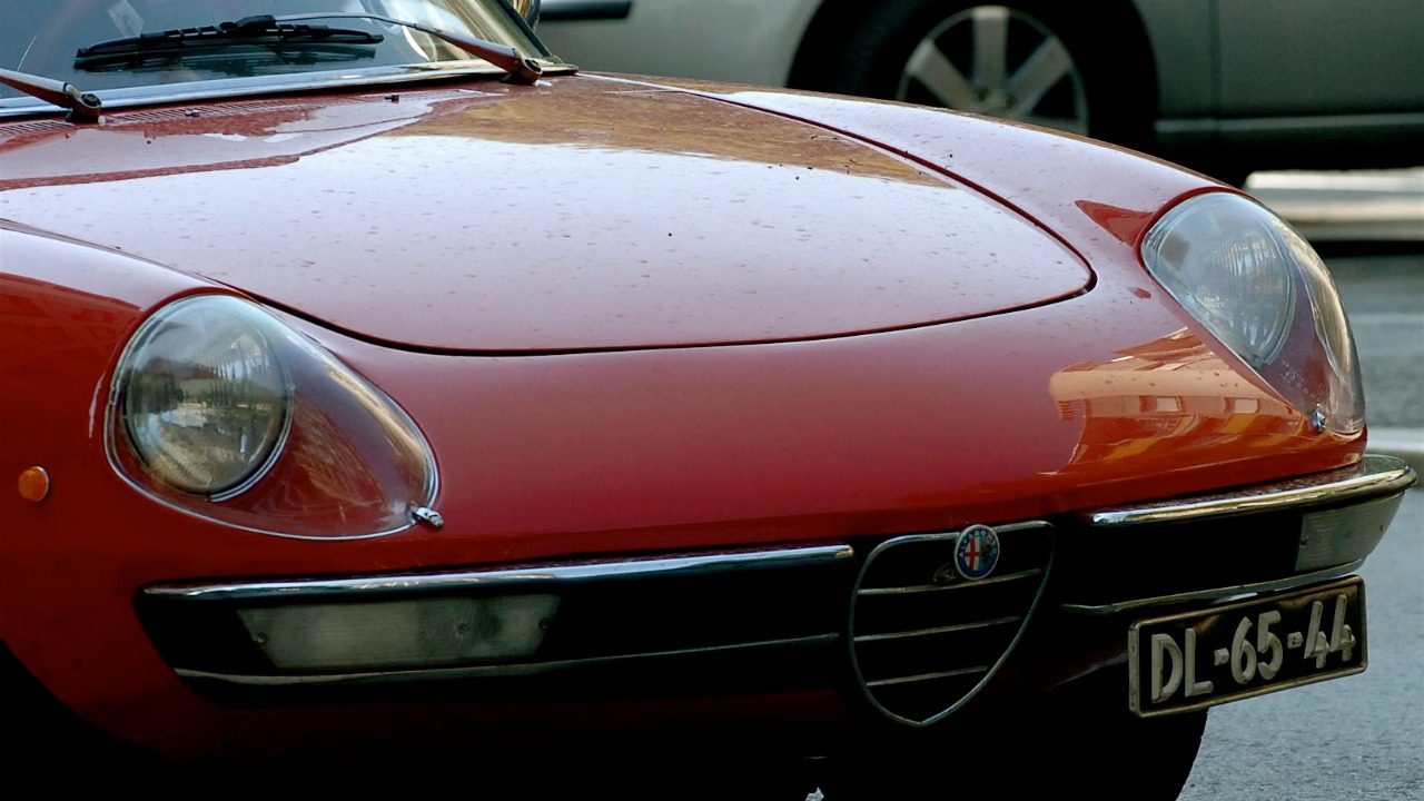 Image Credit: Pedro Simões from Lisboa, Portugal - CC BY 2.0/Wiki Commons