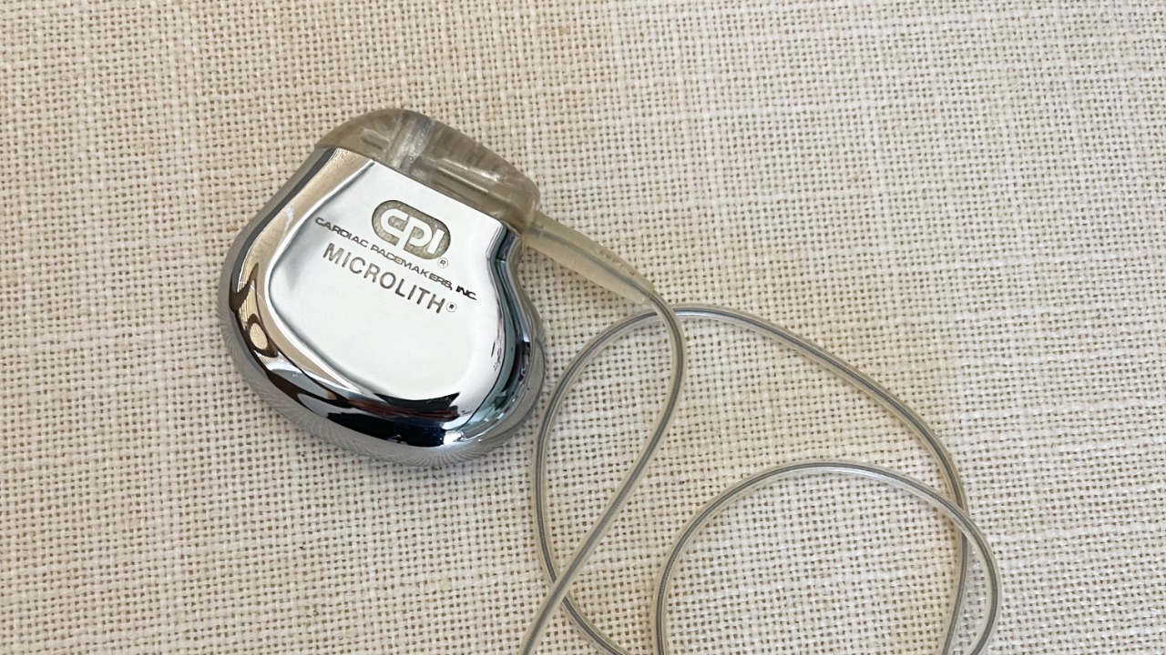 Image Credit: Brian Adducci - CC BY-SA 4.0/Wiki Commons