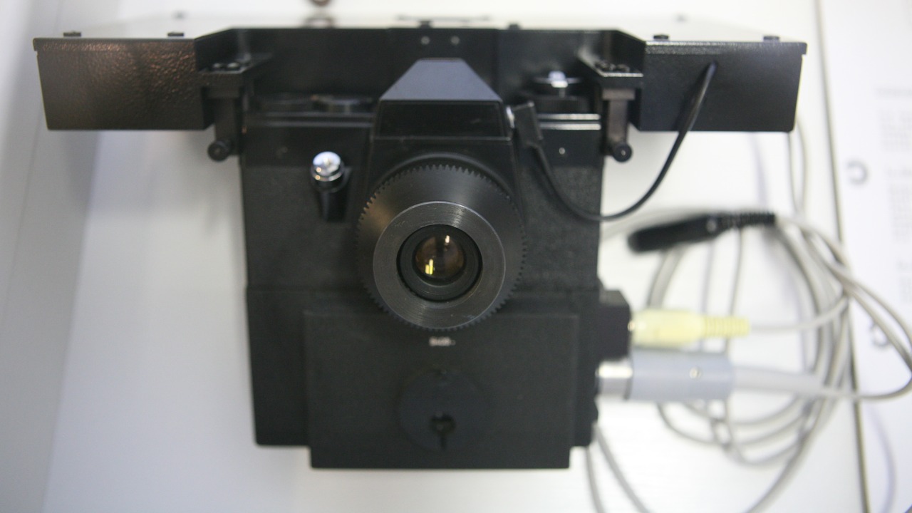 Image Credit: Roi Boshi - Public domain/Wiki Commons