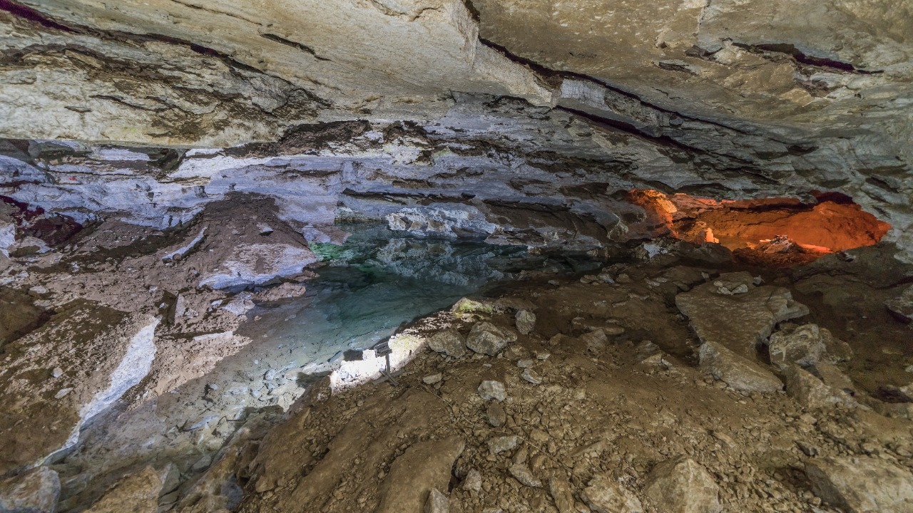 Image Credit: A.Savin - FAL/Wiki Commons