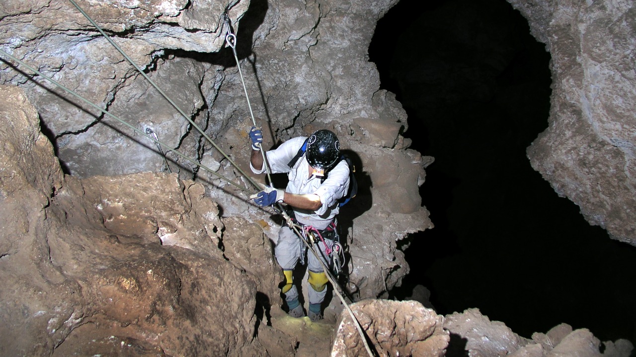 Image Credit: JYB Devot - CC BY-SA 4.0/Wiki Commons