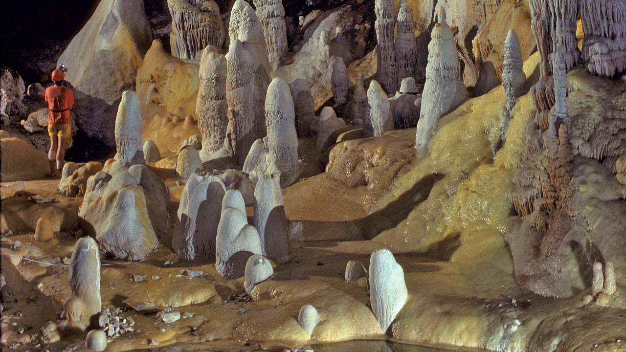 Image Credit: Dave Bunnell / Under Earth Images - CC BY-SA 2.5/Wiki Commons